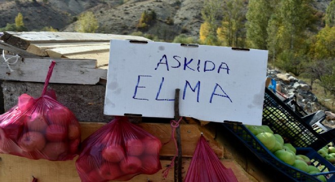 Karayolu kenarında ‘Askıda Elma’