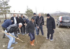 DAP İdaresi’nden meyvecilik yatırımı