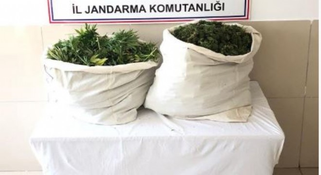 21 kilo esrar ele geçirildi