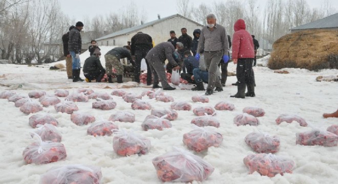 70 kurban kesilip dua edildi