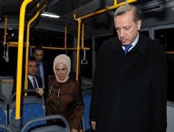 Erzurum 8 il içinde