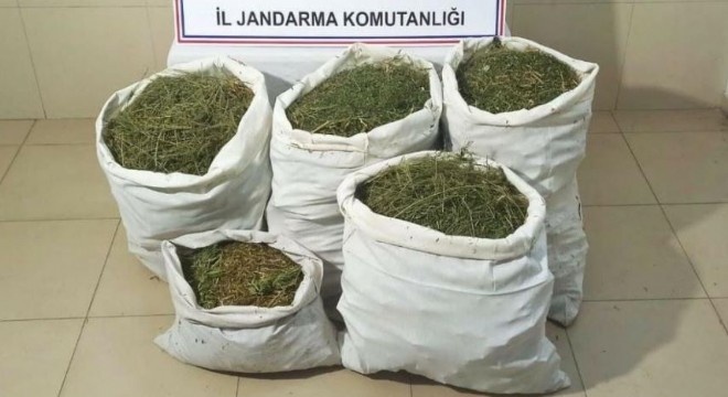 95 kilo esrar ele geçirildi