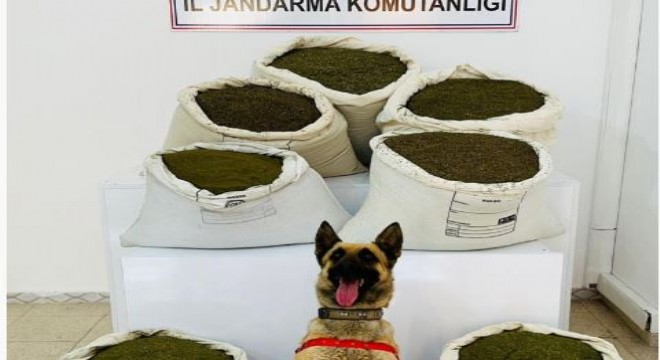 Araziye gizlenmiş uyuşturucu madde ele geçirildi