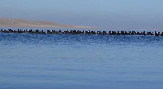 Burası Antarktika değil, Doğu Anadolu
