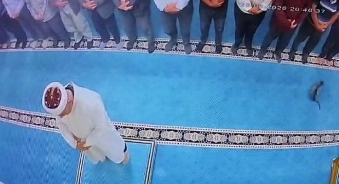 Camide kediyi tekmeleyen şahıs gözaltına alındı