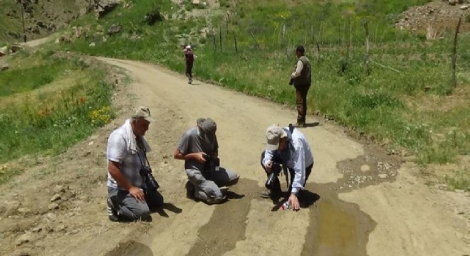 Doğa Fotoğrafçıları Erzurum ve Van a yaoğunlaştı