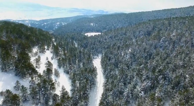 Doğu Anadolu Doğa Harikaları: 46 - Dumanlı