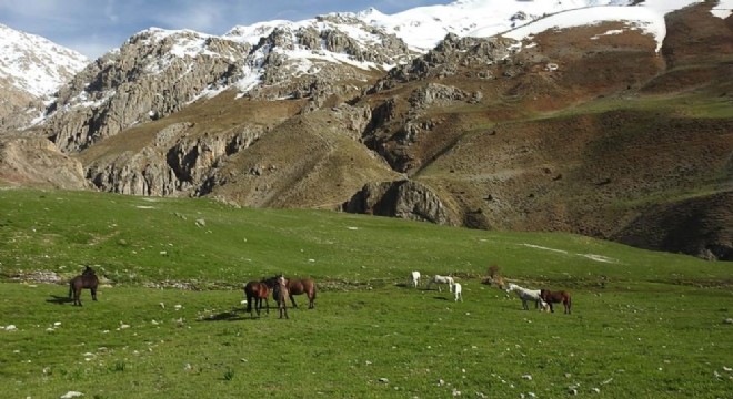 Doğu Anadolu baharda bir başka güzel