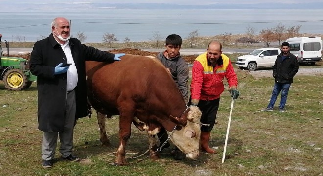 Doğulu besiciden örnek bağış