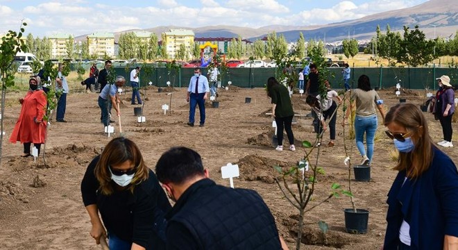 ETÜ Yerleşkesinde Yeşillendirme seferberliği