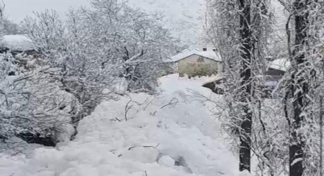 Facianın eşiğinden dönüldü