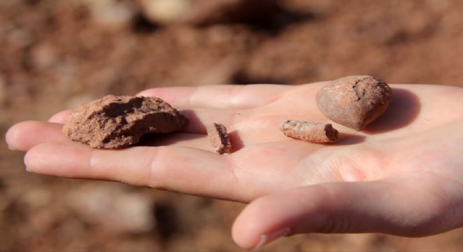 Fosil bulundu,  hassas alan  listesine alındı