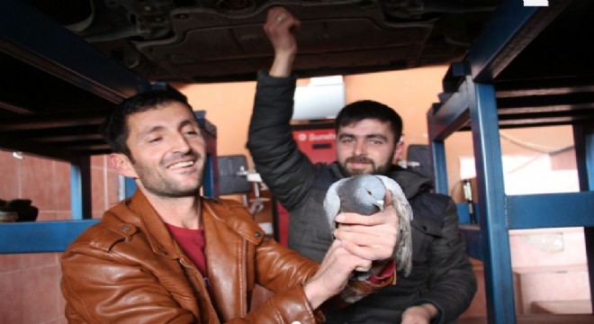 Güvercini kurtarmak için canını hiçe saydı