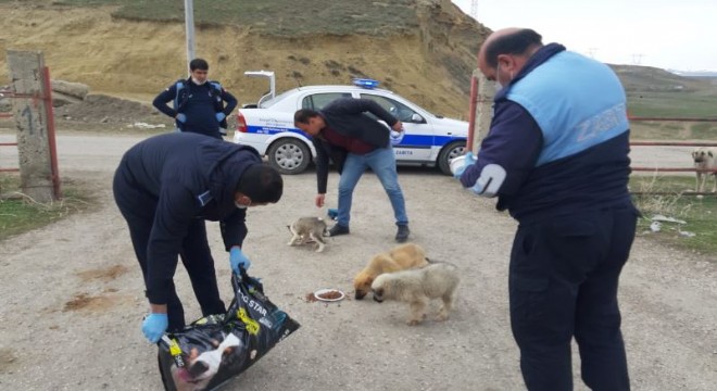 Horasan Belediyesi’nden örnek yaklaşım