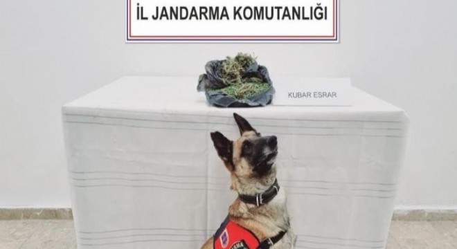 Jandarmadan uyuşturucuya geçit yok