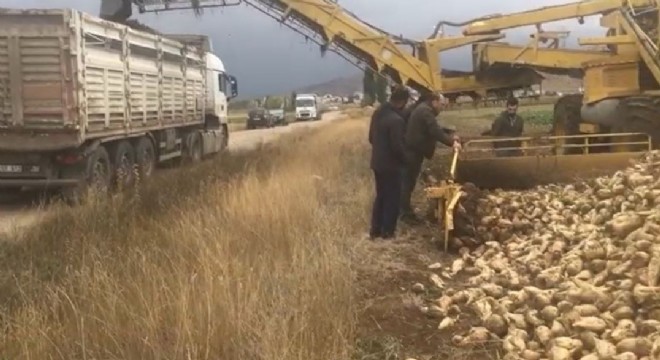 KUDAKA illerinde şeker pancarı hasadı başladı