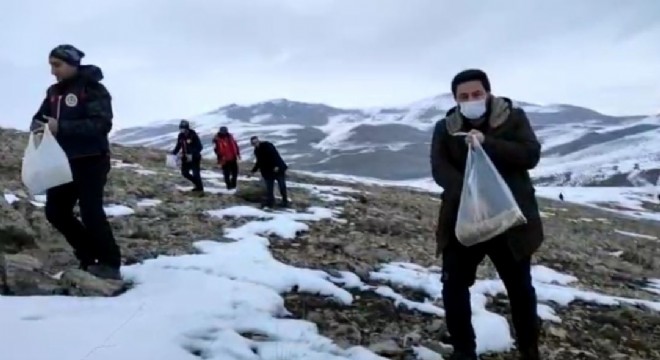 Karla kaplı dağlarda yaban yaşamına destek.