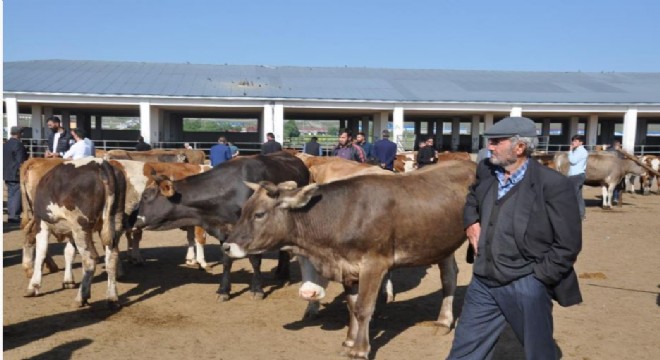 Kars’ta Hayvan Pazarları kapatıldı