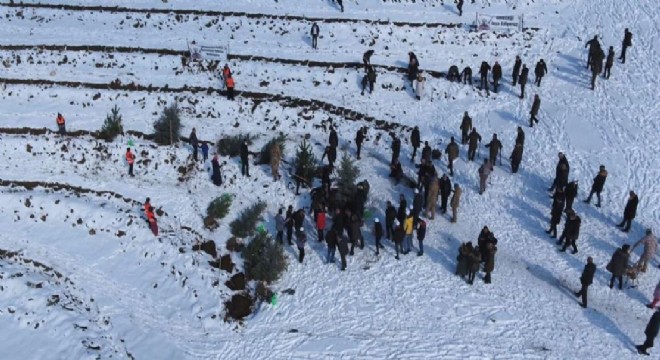 Konaklı’da binlerce fidan toprakla buluştu