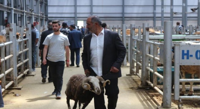 Kurbanlık pazarında yoğunluk arttı