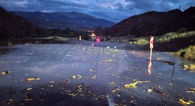 Oltu’da yağmur taşkına dönüştü