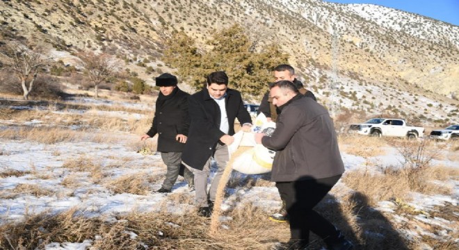 Olur da yaban yaşamına destek