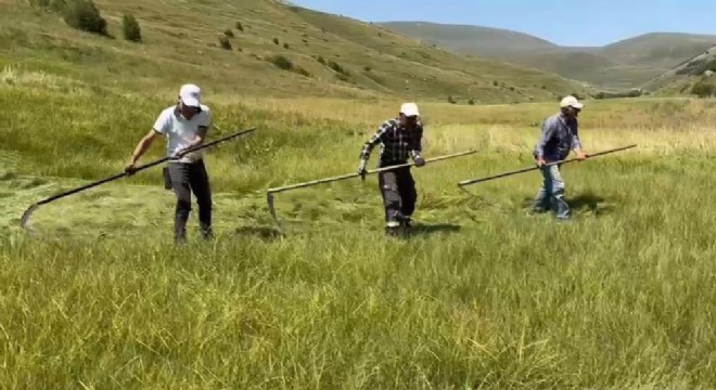 Sağanak yağışlar tarımsal çalışmaları vurdu