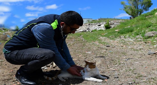 Sokak hayvanlarını unutmadılar