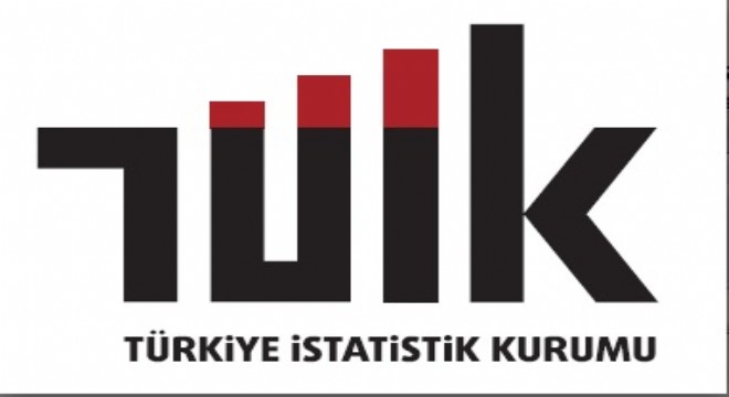 TÜİK Yenilik Araştırması verilerini açıkladı