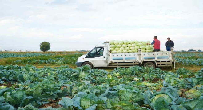 Tarım-ÜFE yıllık yüzde 45,40 arttı