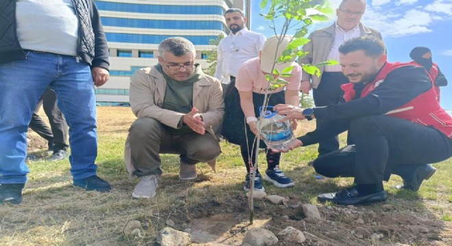 Tuana'nın fidan hayali gerçek oldu