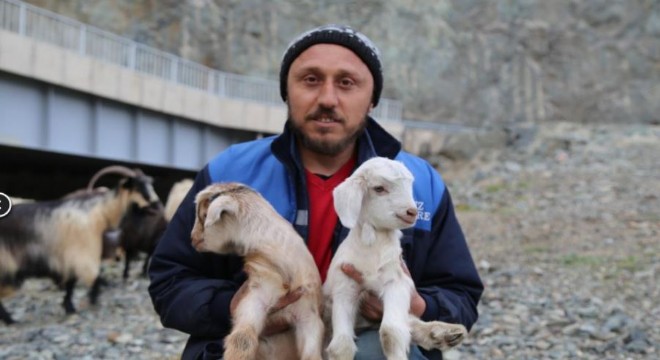 Yayla göçü başladı