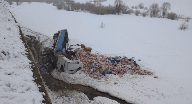 Yoldan çıkan tır 4 metreden aşağı düştü