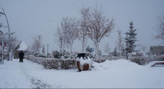 Erzurum'da kar yağışı etkili oluyor