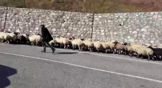 Göçerlerin kış yolculuğu başladı
