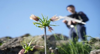 Jandarma ekipleri ters lale nöbeti tutuyor