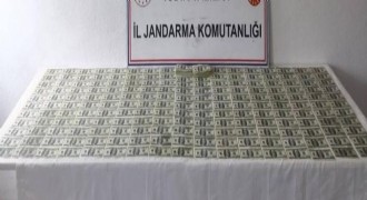 Jandarmadan sahte dolar operasyonu