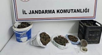 Jandarmadan uyuşturucu operasyonu