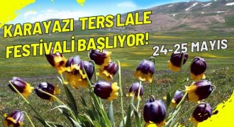Karayazı ters Lale Festivalinde geri sayım