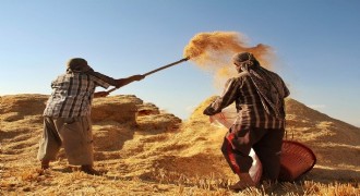 Tarım GFE yıllık yüzde 34,60 arttı