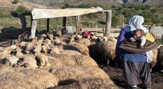 Tulum Peyniri yaylalarda geleneksel yöntemlerle üretiliyor