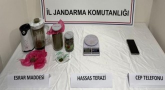 Uyuşturucu operasyonu: 1 tutuklama