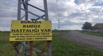 Ardahan Gürçayır'da kuduz önlemi